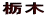 Ȗ