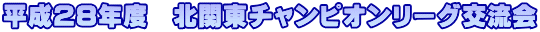 平成28年度 北関東チャンピオンリーグ交流会