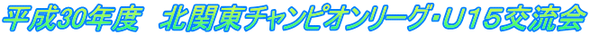 30Nx@k֓`sI[OEtPT𗬉