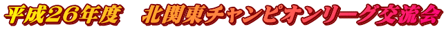 平成26年度 北関東チャンピオンリーグ交流会