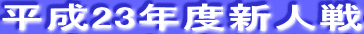 ����23�N�x�V�l��